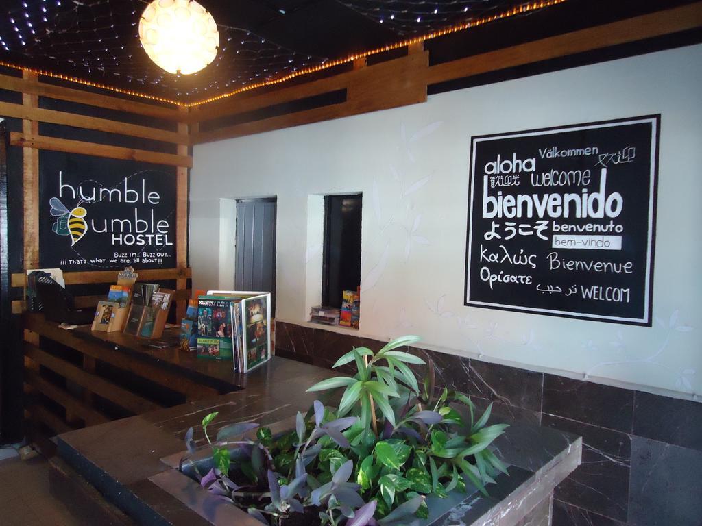 Humble Bumble Hostel Playa del Carmen Eksteriør bilde