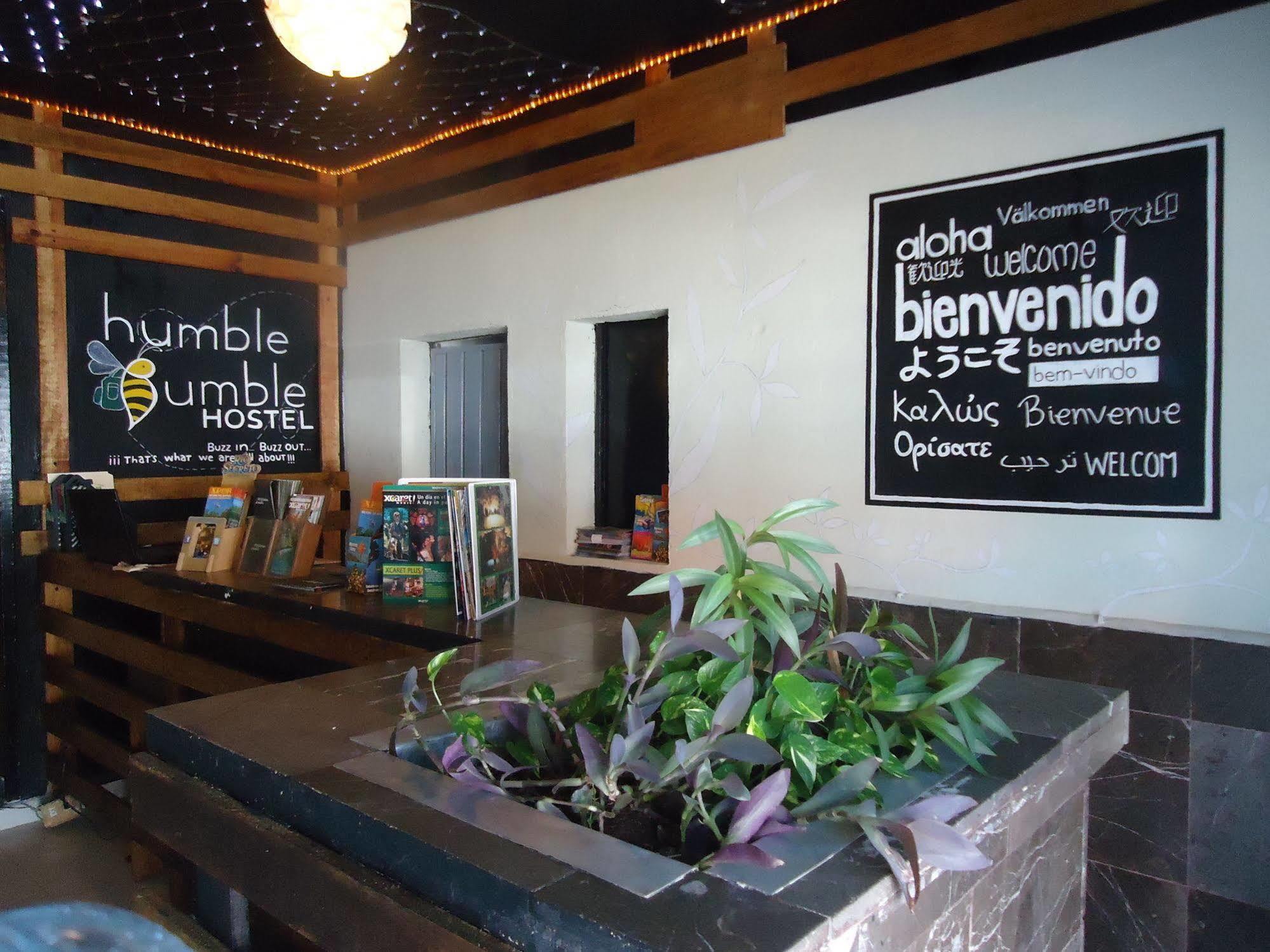 Humble Bumble Hostel Playa del Carmen Eksteriør bilde