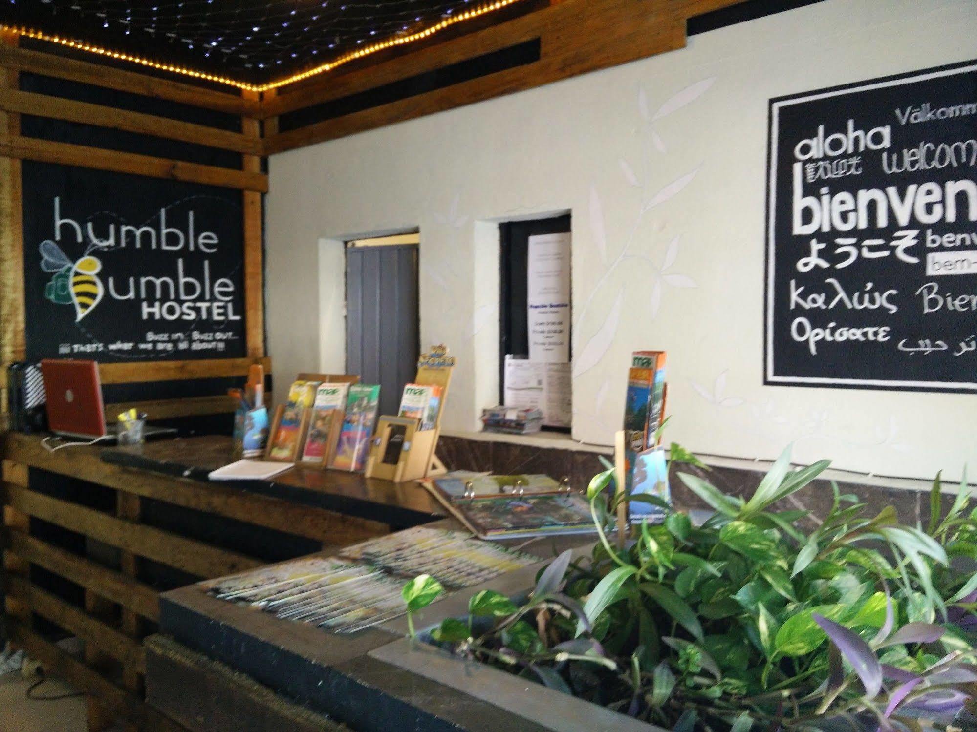 Humble Bumble Hostel Playa del Carmen Eksteriør bilde