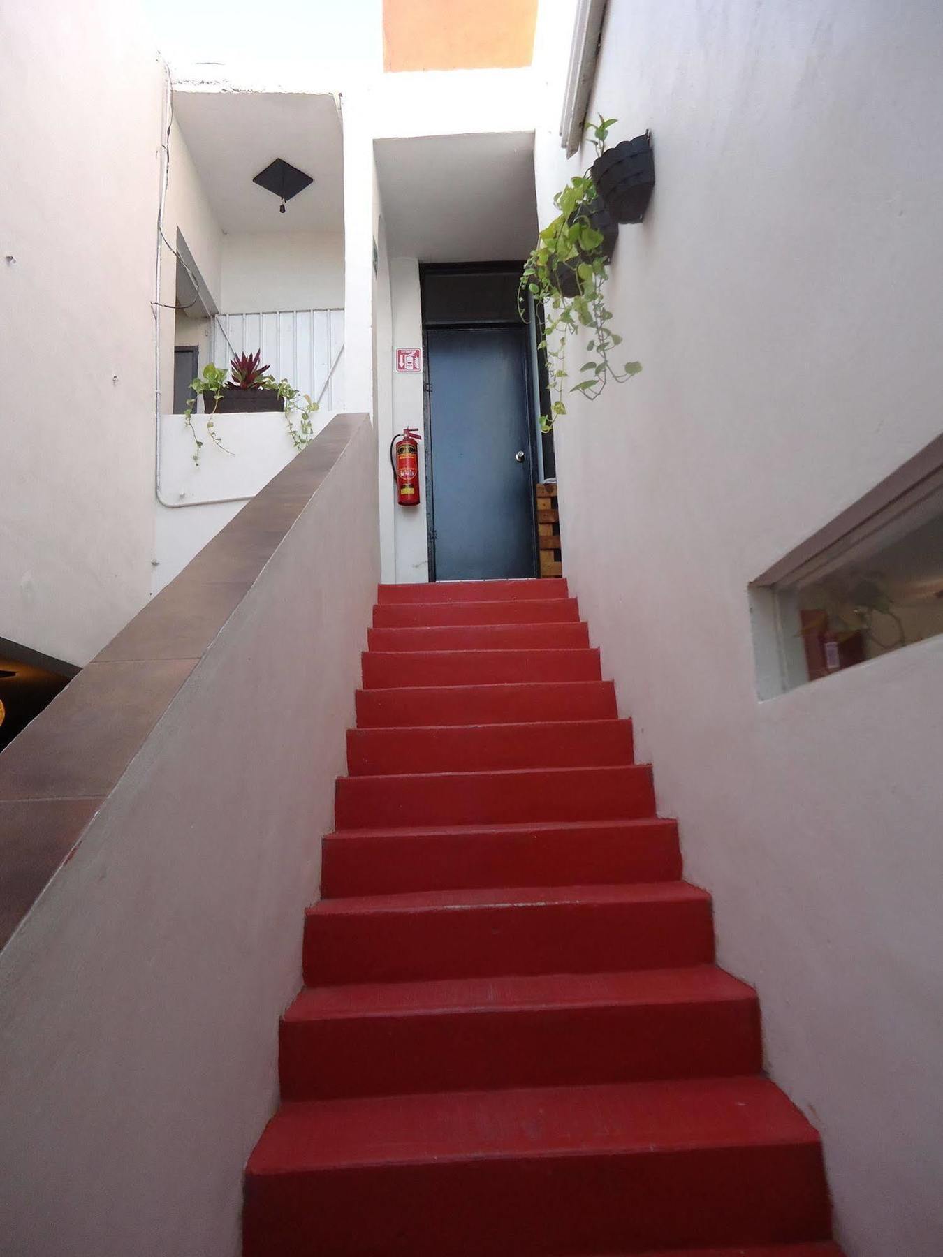 Humble Bumble Hostel Playa del Carmen Eksteriør bilde