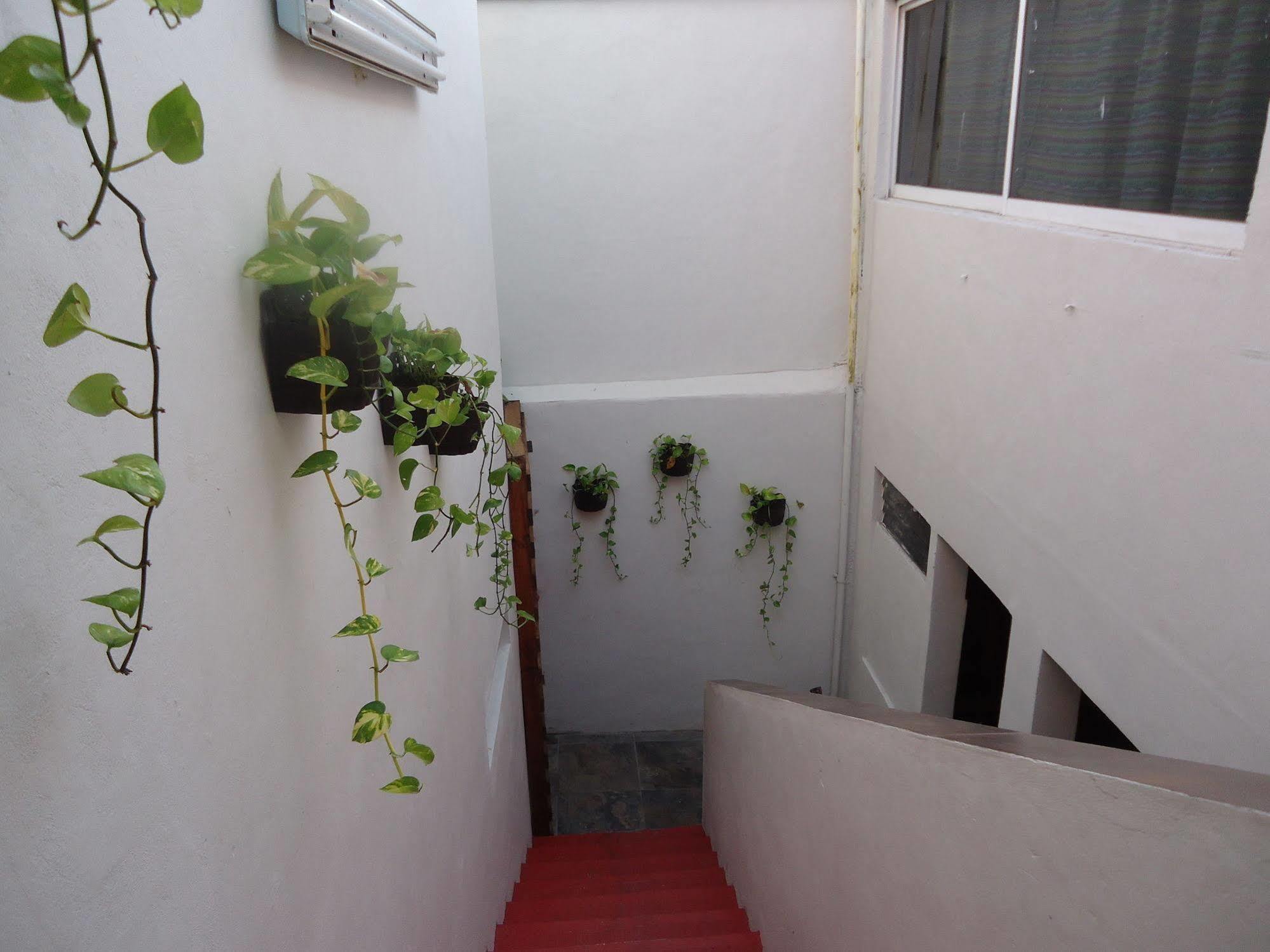 Humble Bumble Hostel Playa del Carmen Eksteriør bilde